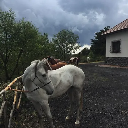 Dorata Отель