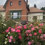 Dorata Hotel 3*