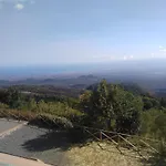Dorata 3*