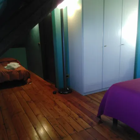Dorata 3*