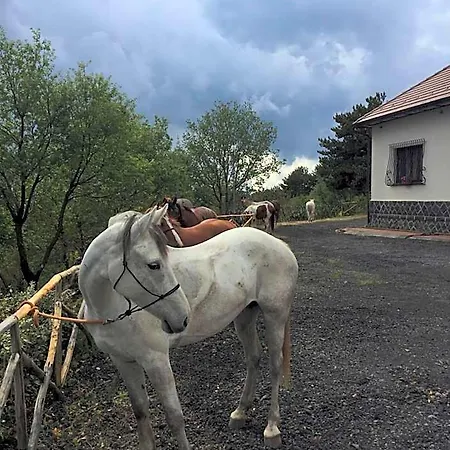 Dorata 3* Nicolosi